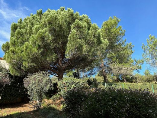 Extérieurs de la maison avec un havre de paix, offrant une vue panoramique sur les tours de Castillon et les paysages des Alpilles en Provence.